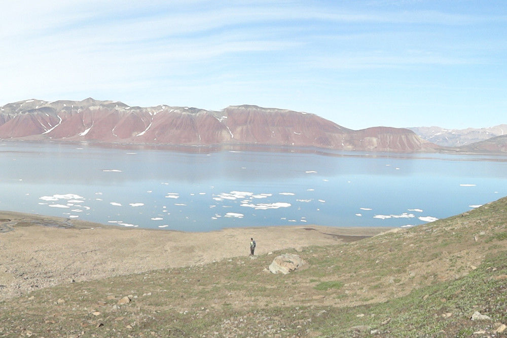 Blick auf den Fleming Fjord