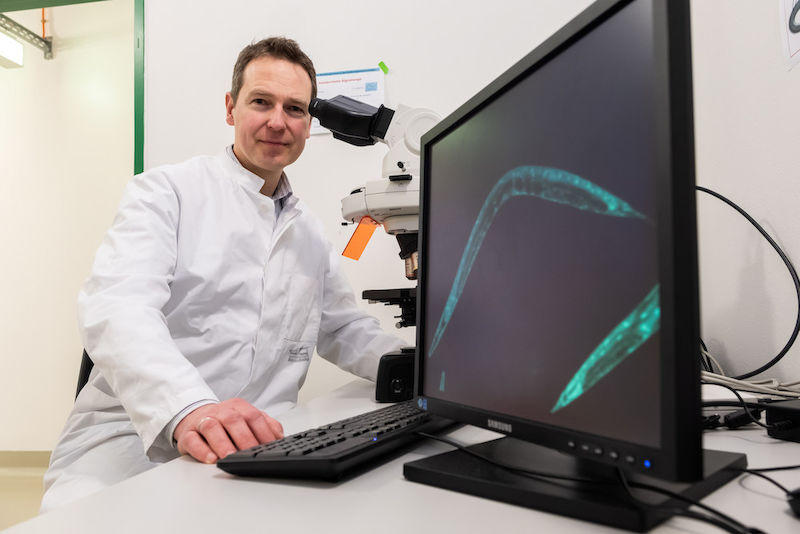 Wim Wätjen uses tiny threadworms in his research.