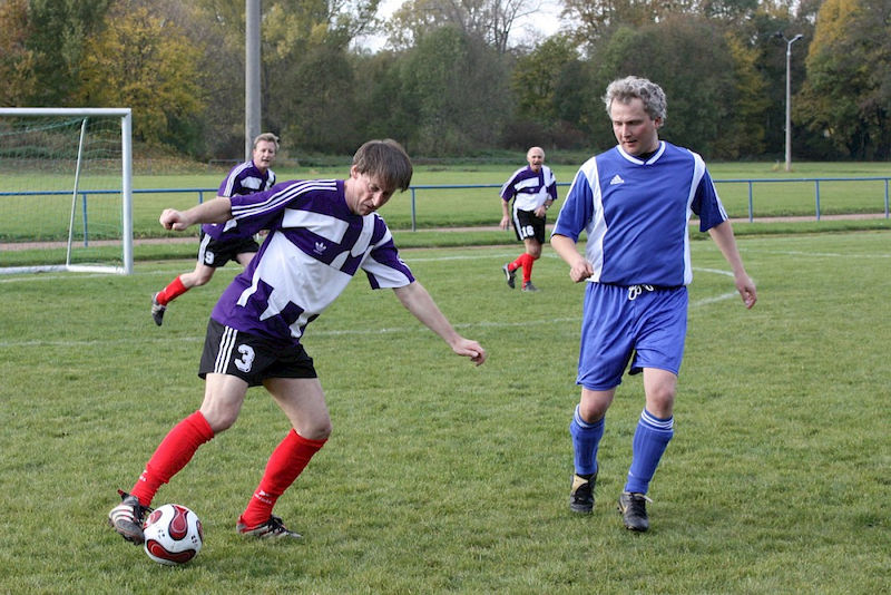 Das Hallesche Professorenteam