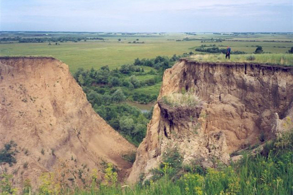Gully erosion is evidence of landscape destruction in the agricultural steppes of Southern Siberia