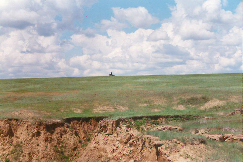An impression of the Kulunda Steppe, covering an area of 100.000 square kilometers.