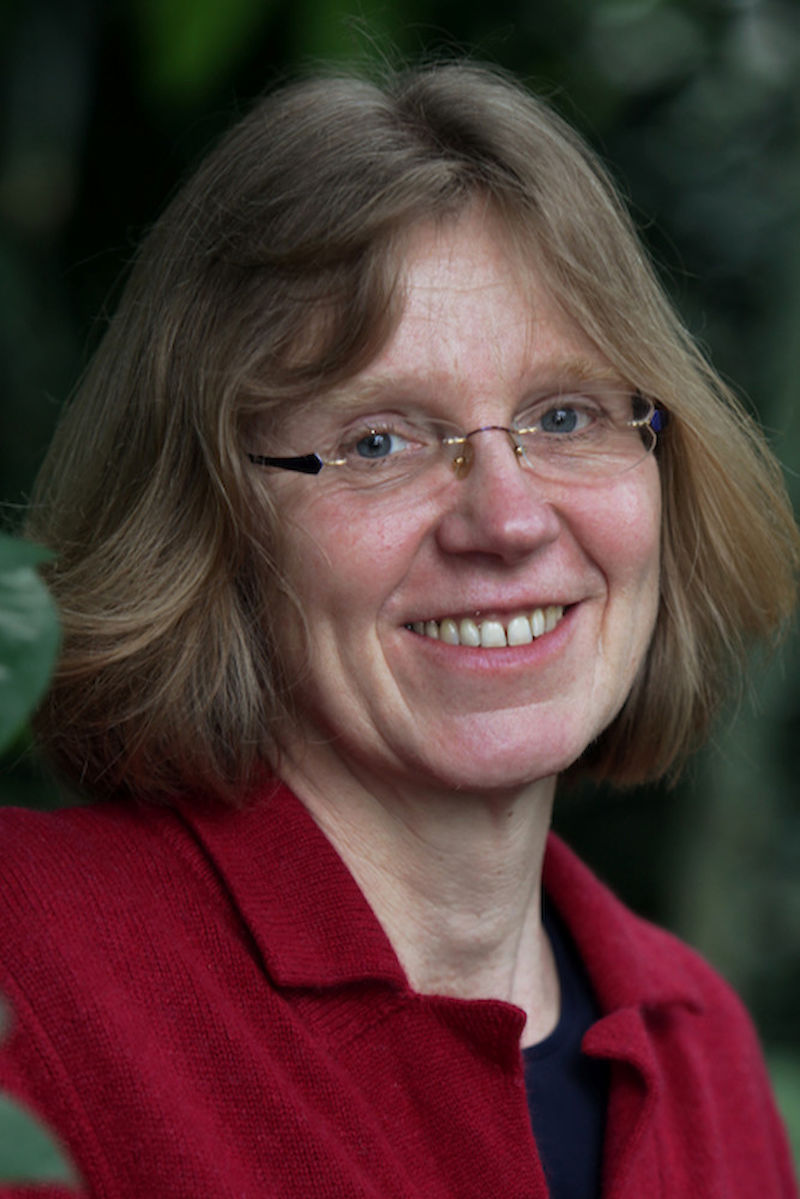 Isabell Hensen, Professorin für Pflanzenökologie