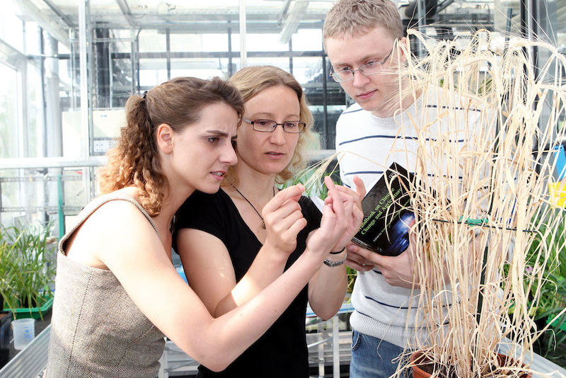 Coordinator Dr. Claudia Flügel (middle) with two PhD students from the ScienceCampus Halle: Denitsa Angelova und Sven Grüner