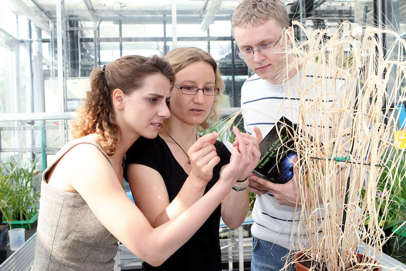 Koordinatorin Dr. Claudia Flügel (Mitte) mit zwei Doktoranden des WissenschaftsCampus Halle: Denitsa Angelova und Sven Grüner