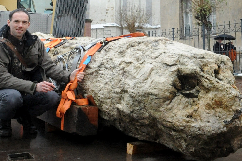 Frank Steinheimer und der versteinerterte 50 Millionen Jahre alte Baum.