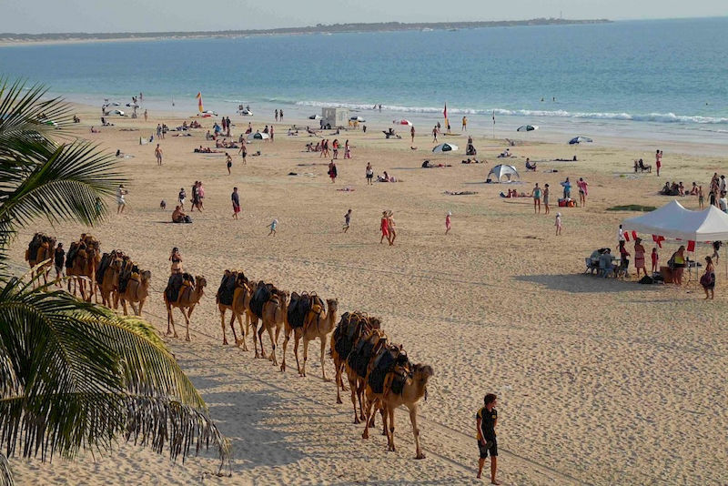 Cable Beach in Broome: Kamele werden für eine der Sunset Tours zu den Touristen geführt.