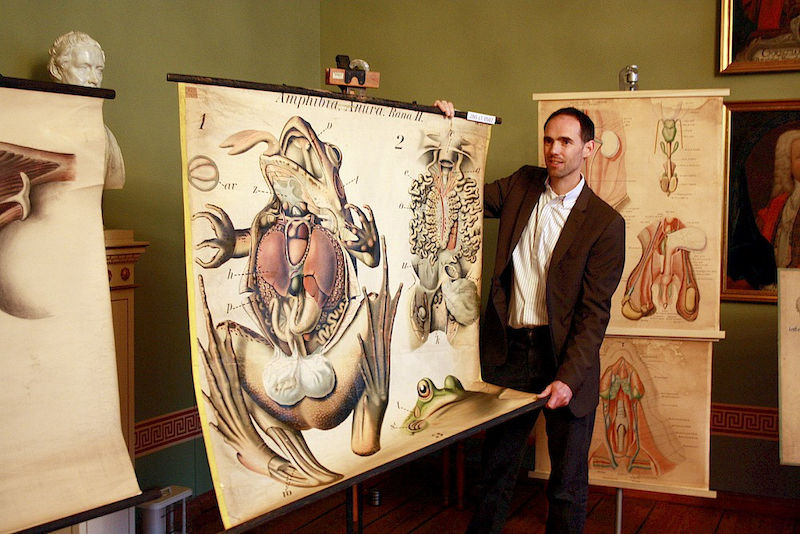 Dr. Frank Steinheimer präsentiert eine restaurierte Lehrtafel 