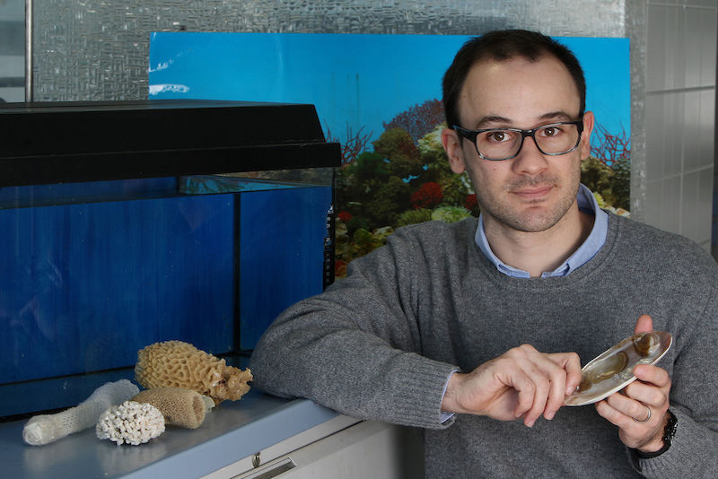 Dr. Filipe Natalio forscht zu Biomineralien. Sie sind aufgrund ihrer teils einzigartigen Eigenschaften für die Entwicklung neuer Werkstoffe besonders interessant.