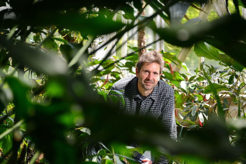 Dr. matthias Hoffmann, Kustos des Botanischen Gartens der MLU