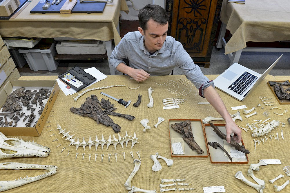 Measurements, microscopes and documentation: Alex Hastings at his workplace in the New Residence.