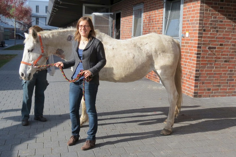Gudrun Liebscher mit dem an Hautkrebs erkrankten Pferd Waleska in Hannover