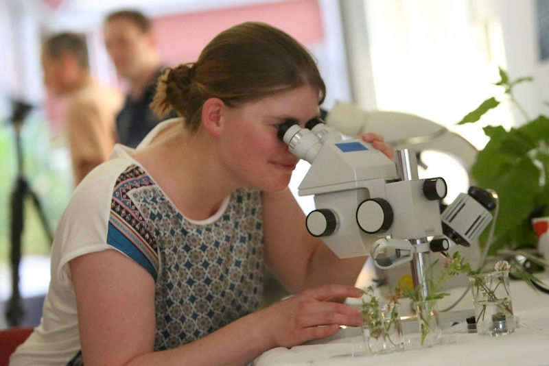 In zahlreichen Laboren der Universität gab es die Möglichkeit, einmal selbst durchs Mikroskop zu schauen.