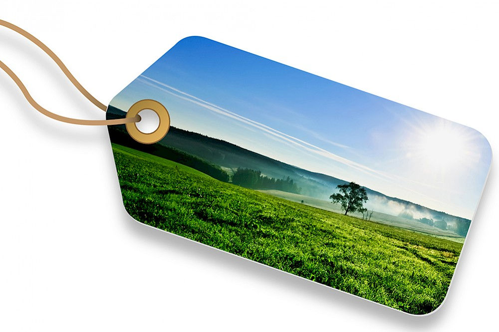 Im Projekt Naturkapital Deutschland – TEEB-DE soll auch der wirtschaftliche Nutzen der Natur für den Menschen aufgezeigt werden.