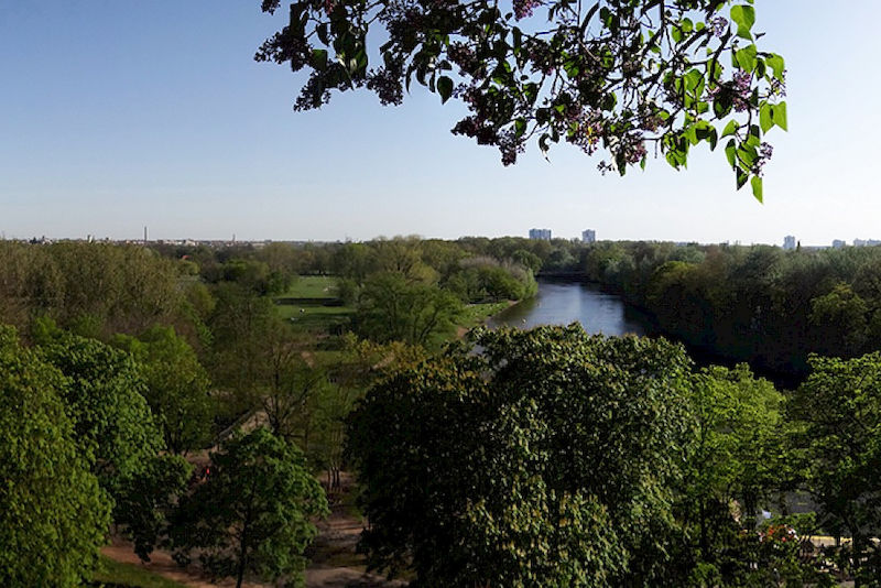 Blick auf die Peißnitz in Halle. Sie bietet dem Menschen einen Rückzug- und Erholungsort, Schutz vor Hochwasser und beherbergt viele Arten.