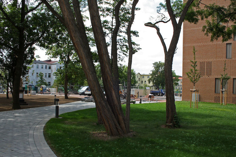 Neben der Bibliothek (rechts) werden auf dem Campus die letzten Wege gepflastert.