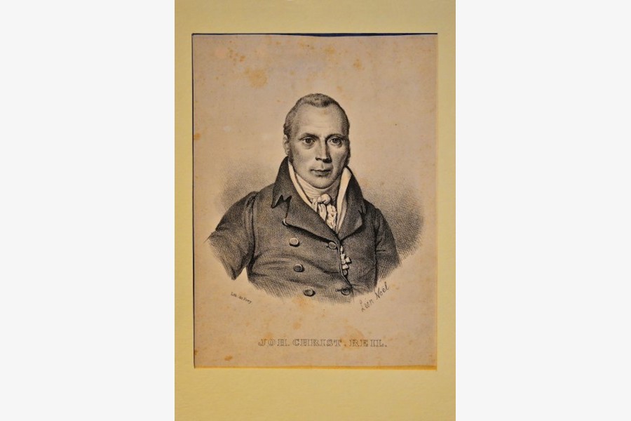 Reil-Ausstellung zeigt Präparate aus den Meckelschen Sammlungen.