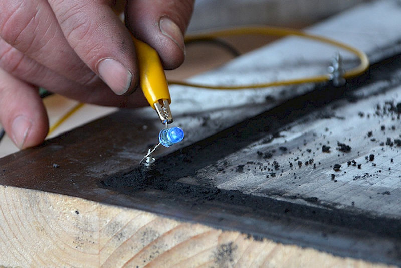 Stromleitende Pflanzenkohle