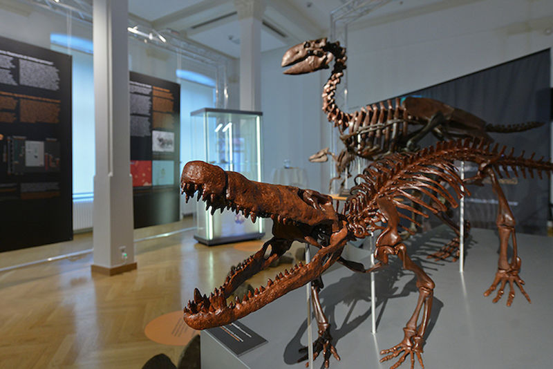 Die Ausstellung zeigt einige der Bewohner des Geiseltals vor 45 Millionen Jahren in Lebensgröße.