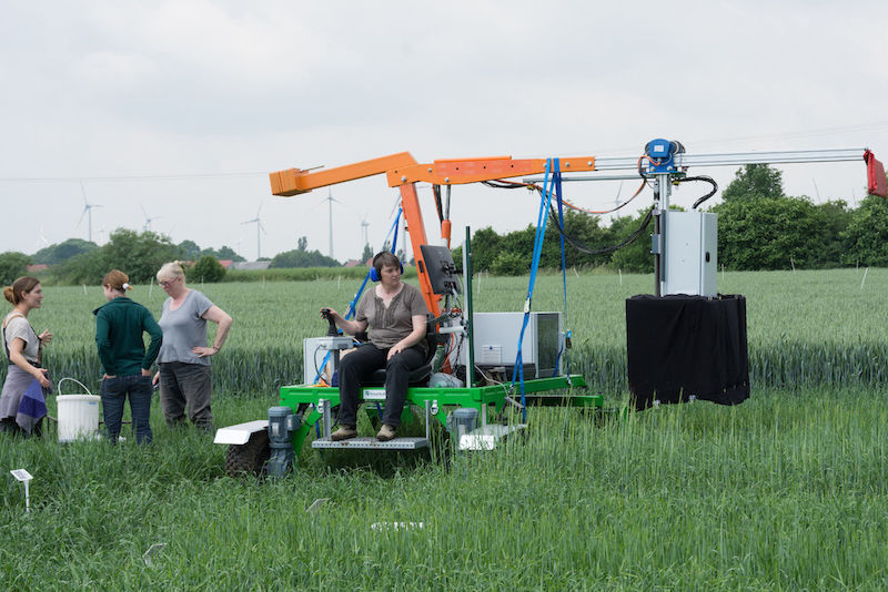 Mit drei Kamerasystemen werden die Pflanzen untersucht.