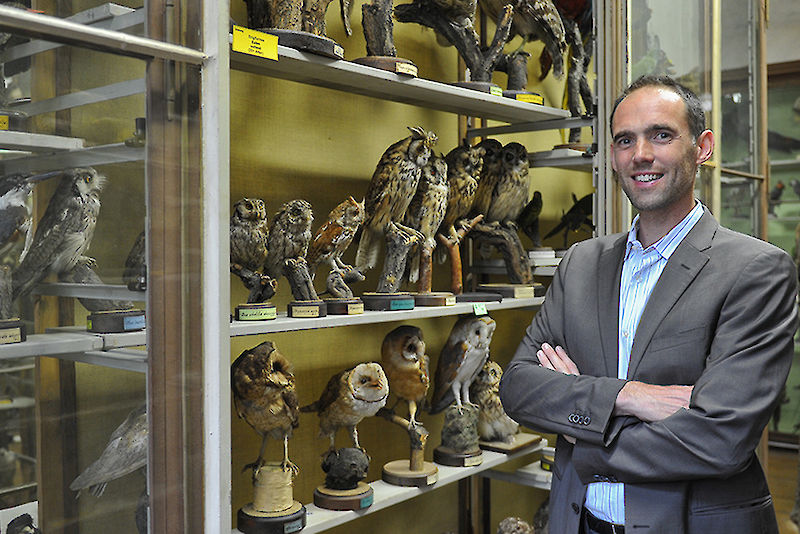 Der Organisator der "BirdNumbers"-Tagung Dr. Frank Steinheimer in der Zoologischen Sammlung der Uni Halle.