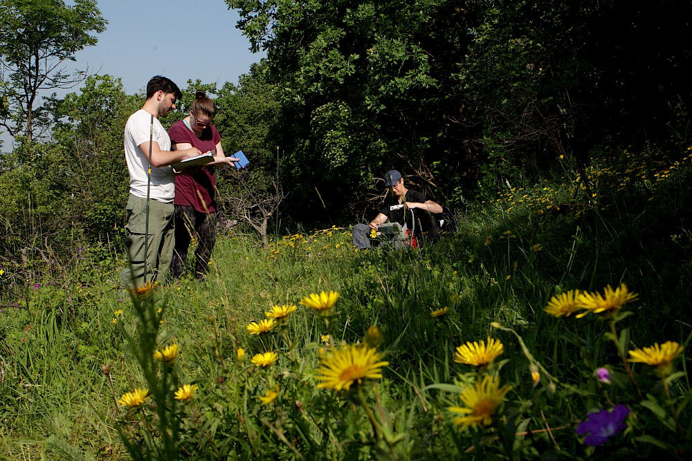 The students conducting their fieldwork near Balgstädt.