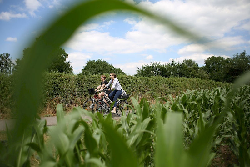 Durch die Natur geht es nach Bad Lauchstädt.