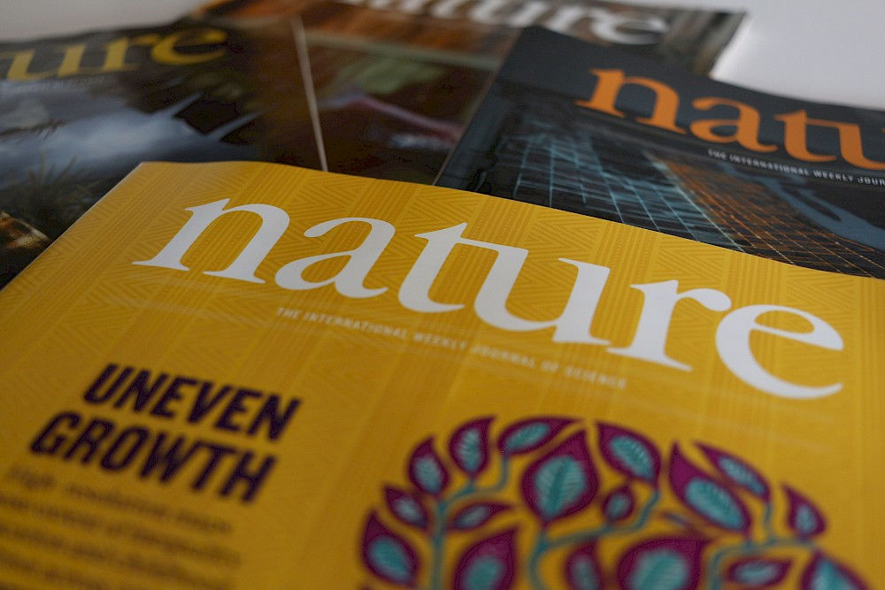 Halles Forscherinnen und Forscher veröffentlichen laut "Nature Index" häufiger in renommierten Fachjournalen.