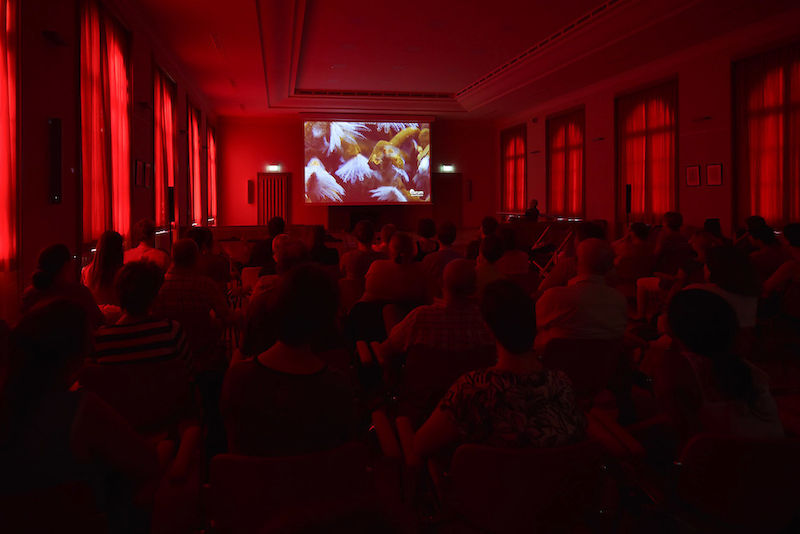 In der Tiefsee-Lounge der Leopoldina konnten Besucher Filme über Meeresforschung ansehen - und relaxen.
