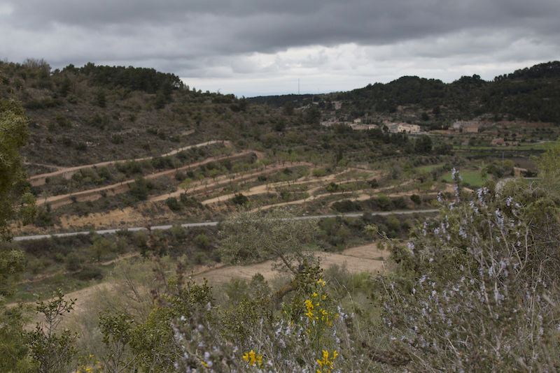 In der Nähe des spanischen Ortes Vallbona de les Monges finden sich zahlreiche Terrassen-Landschaften wie diese.