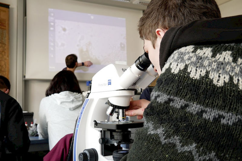 Was die Studierenden am Mikroskop sehen, wird gleichzeitig auf der Leinwand eingeblendet.