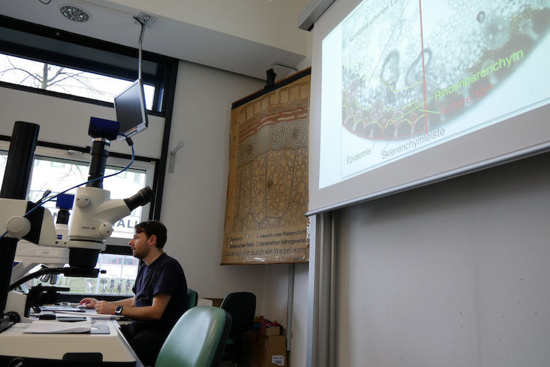 Martin Schattat beschriftet von seinem Computer aus ein Präparat der Studierenden.