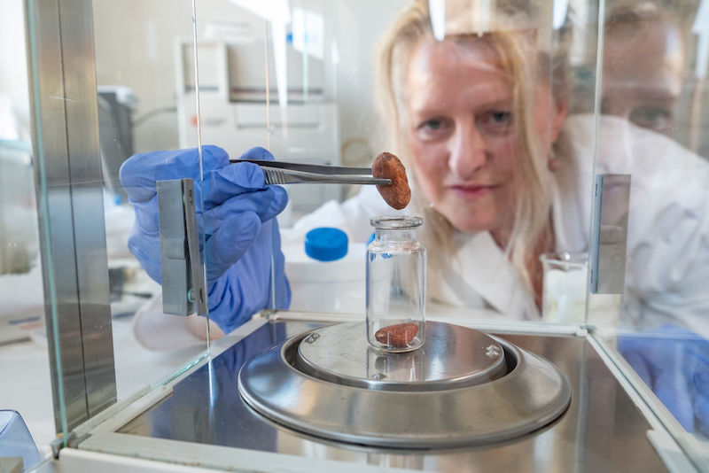 Suzanne Roß in a nutrition research lab - where cocoa beans are also examined.