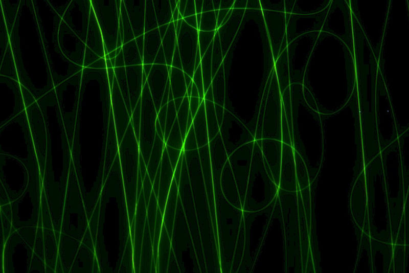Fluorescence microscopic image of the fibres for the nonwoven