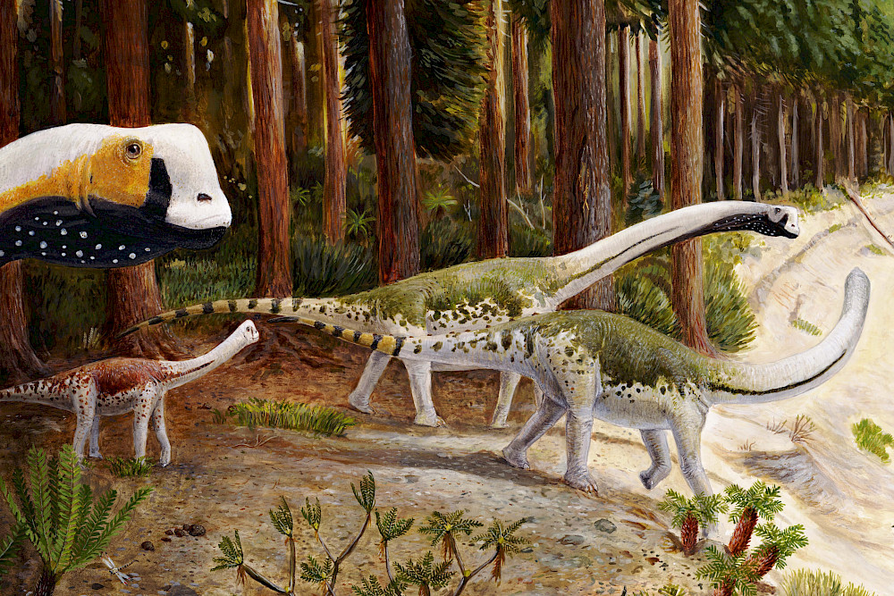 A herd of Europasaurus - the animals lived around 154 million years ago.