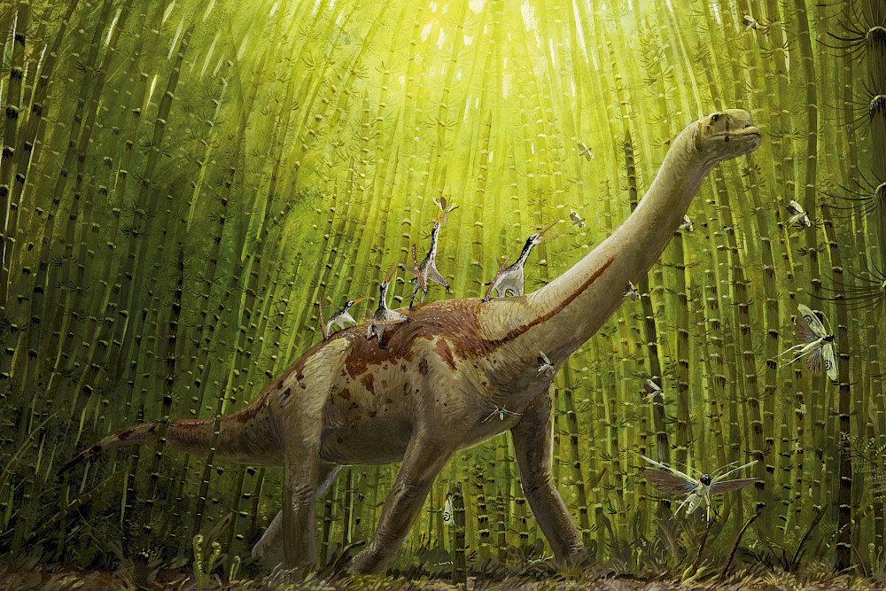 Die Graphic Novel zeigt den Europasaurus, hier begleitet von kleinen Flugsauriern.