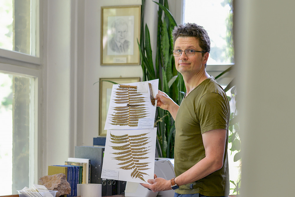 Marcus Lehnert - hier mit dem Beleg eines Baumfarns - leitet seit zwei Jahren das Herbarium.