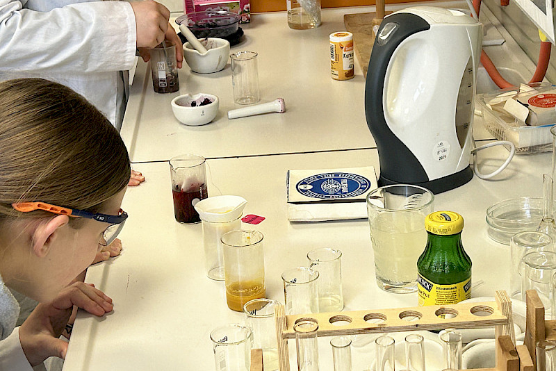 Selbstgemachte Zitronenlimo und Indikatoren: Im Labor experimentierten die Jugendlichen.