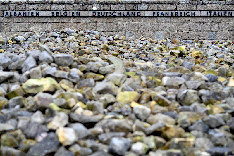 Das Gräberfeld der Gedenkstätte KZ Langenstein-Zwieberge mit den Massengräbern von 770 Toten aus 30 Nationen – unweit davon liegt auch das Einzelgrab, dessen Geschichte im Projekt der Studierenden untersucht wurde.