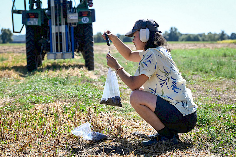 Forschungsarbeit auf dem Feld