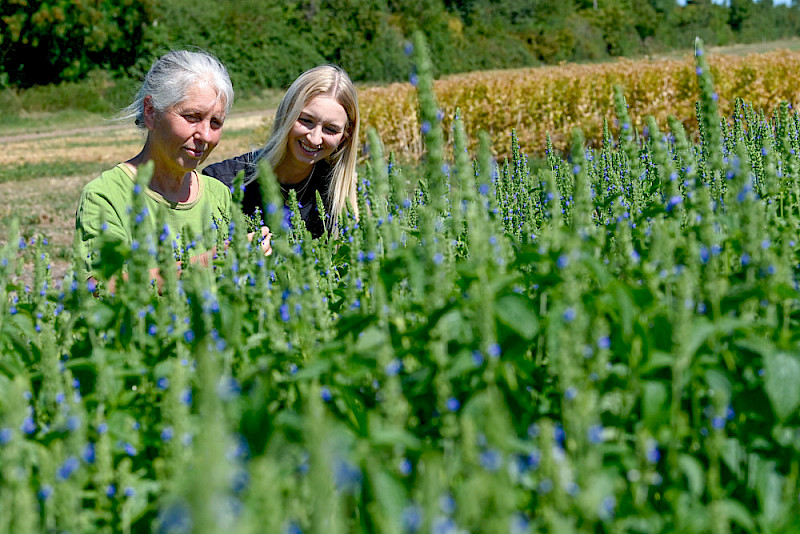 Urte Grauwinkel (links) und Melissa Arias auf einem Feld der Versuchsstation in Merbitz