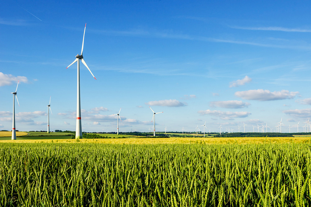 Windkrafträder in Nordrhein-Westfalen - mit der Akzeptanz und Unterstützung der Energiewende befassen sich Forschende und Praktiker in einem Symposium an der MLU.