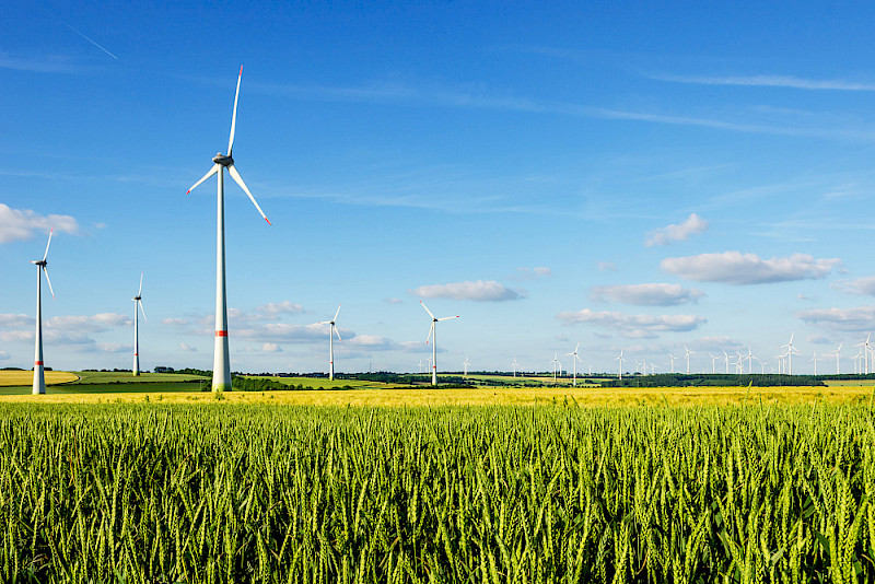 Windkrafträder in Nordrhein-Westfalen - mit der Akzeptanz und Unterstützung der Energiewende befassen sich Forschende und Praktiker in einem Symposium an der MLU.