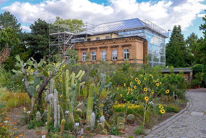 Bis Ende September stand das Gerüst am Tropenhaus. Jetzt ist das Gebäude wieder zugänglich.
